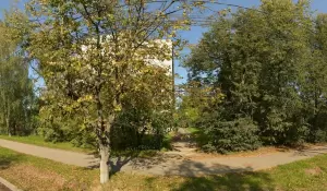 Фотография Добрый Ум 0